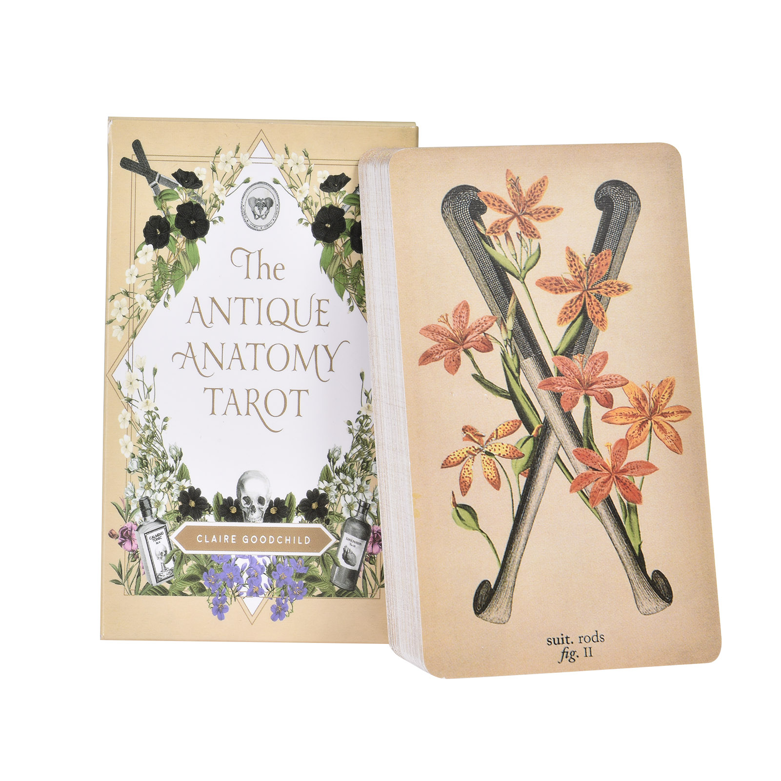 Tarot Cards Deck With Guidebook - Карты Таро «Античная Анатомия», английская версия,